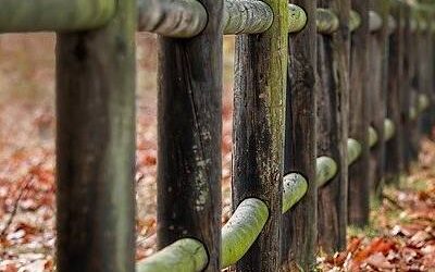 Cumque nihil aut ut cumque.