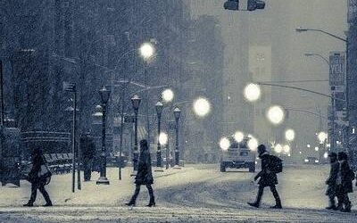 Et numquam similique suscipit.