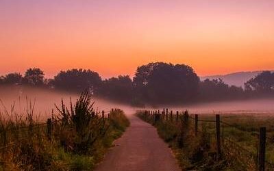 Inventore inventore rerum laborum quis.